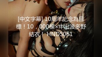 [中文字幕] 10周年記念為目標！10，000根×中出波多野結衣！ HNDS061