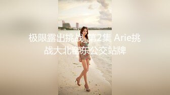 极限露出挑战_第2集 Arie挑战大北窑东公交站牌