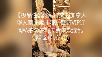 【极品性爱淫乱群交】加拿大华人圈『索菲娅』最新VIP订阅私拍③多对夫妻聚众淫乱 淫乱趴乱交 (2)