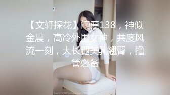 【文轩探花】门票138，神似金晨，高冷外围女神，共度风流一刻，大长腿美乳翘臀，撸管必备