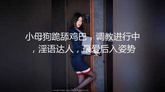 小母狗跪舔鸡巴，调教进行中，淫语达人，最爱后入姿势