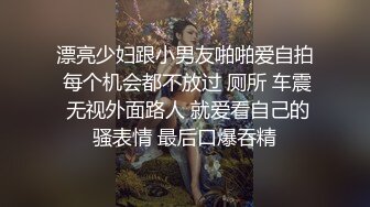 漂亮少妇跟小男友啪啪爱自拍 每个机会都不放过 厕所 车震 无视外面路人 就爱看自己的骚表情 最后口爆吞精