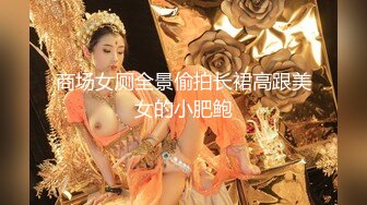 商场女厕全景偷拍长裙高跟美女的小肥鲍