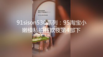 91sison530系列：95淘宝小嫩模私拍狂欢夜第4部下