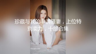 珍藏与我的丰满骚妻，上位特别卖力，十部合集