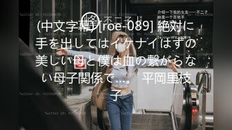 (中文字幕) [roe-089] 絶対に手を出してはイケナイはずの美しい母と僕は血の繋がらない母子関係で…。 平岡里枝子