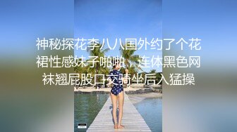 神秘探花李八八国外约了个花裙性感妹子啪啪，连体黑色网袜翘屁股口交骑坐后入猛操